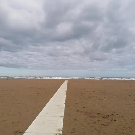 Hotel N E Y Rimini