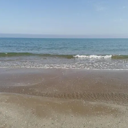 N E Y Hotel Rimini